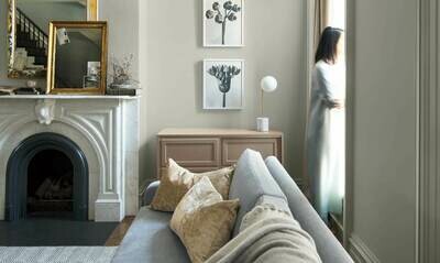 Benjamin Moore Interior and Exterior Premium Paint