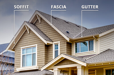 Fascia