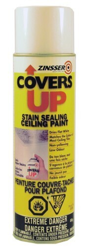 Zinsser Covers-Up Ceiling Paint - Spray - White Zinsser Covers-Up Ceiling Paint - Spray - White