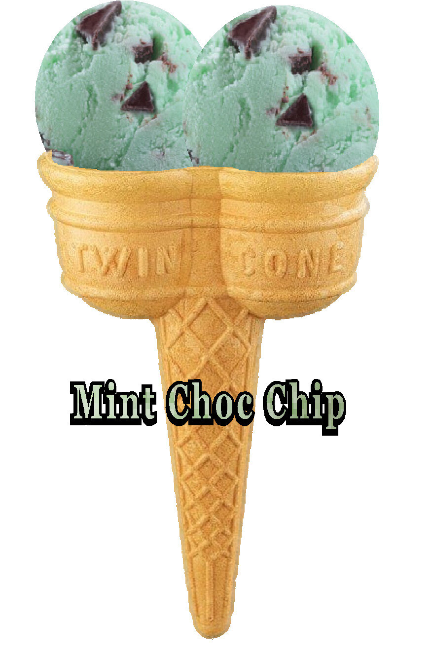 Hard Scooped double mint    Ice Cream Twin Cone