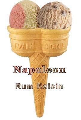 Hard Scooped  napoleon  and rum and raisin 

Ice Cream Twin Cone