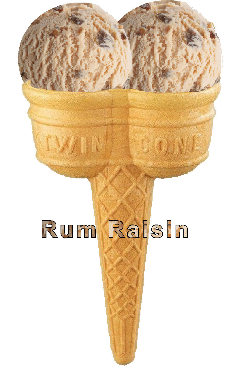 Hard Scooped  double  rum and raisin 

Ice Cream Twin Cone