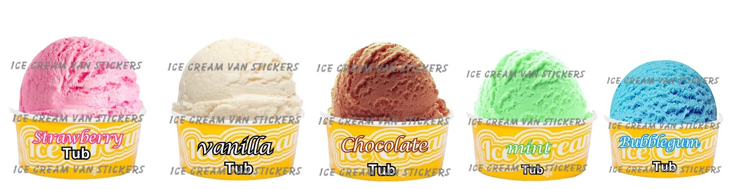 Set of 5  Hard Scooped ice Cream tubs   mixed  flavour