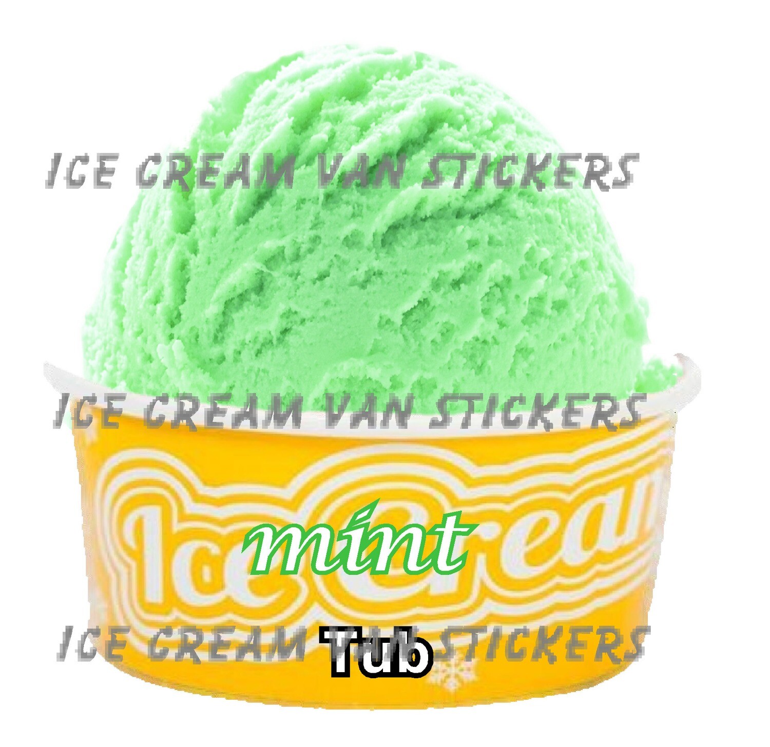 Hard Scooped mint  flavoured Ice Cream tub
