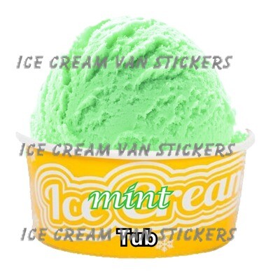 Hard Scooped mint  flavoured Ice Cream tub