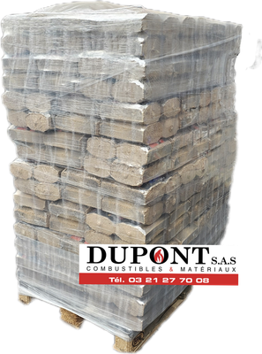 PALETTE DE TECSABUCH - Crépito