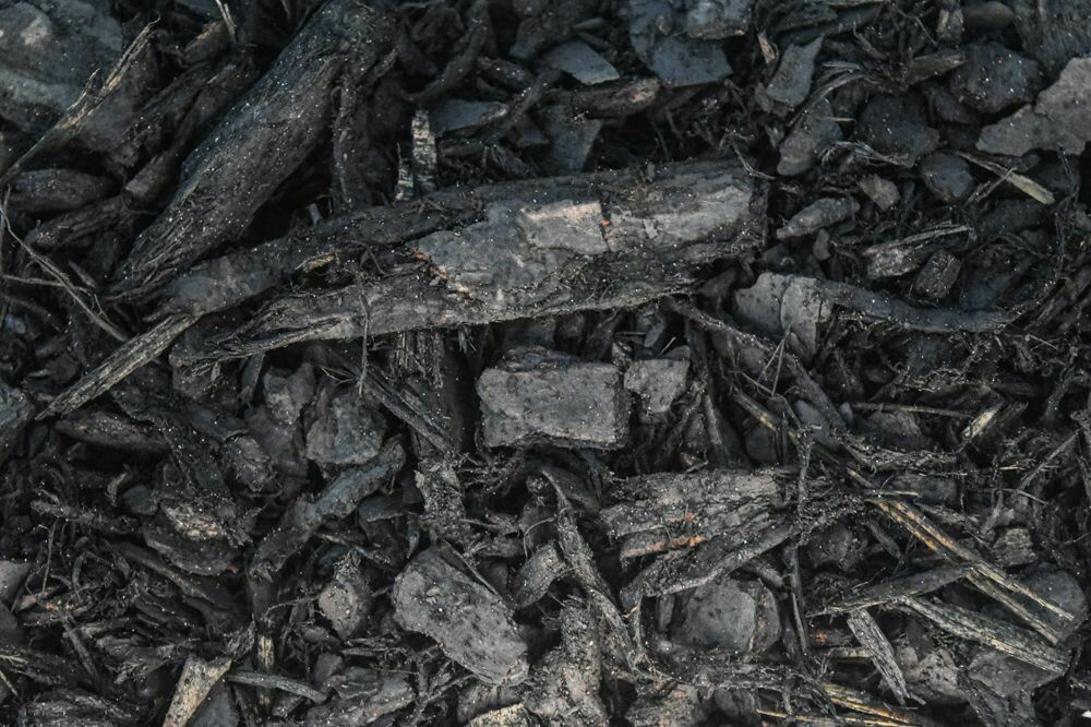 Black Licorice Mulch