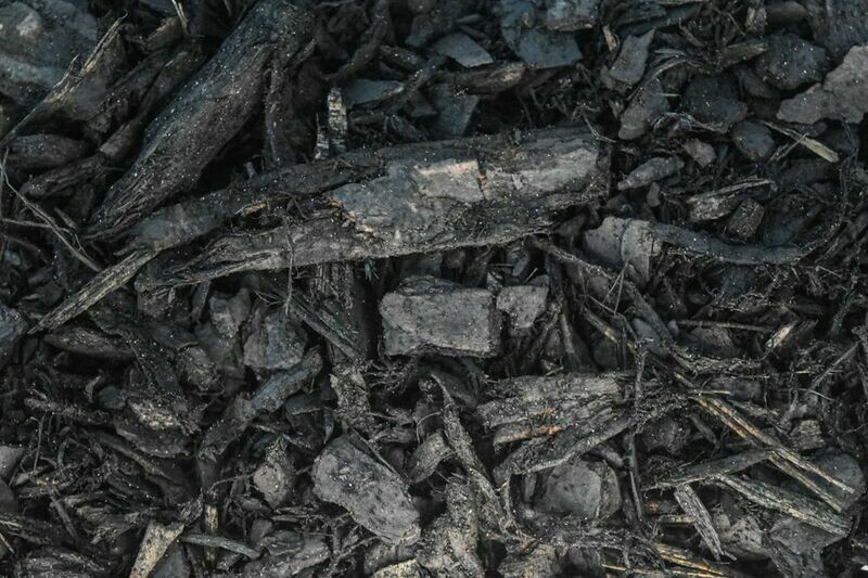 Black Licorice Mulch