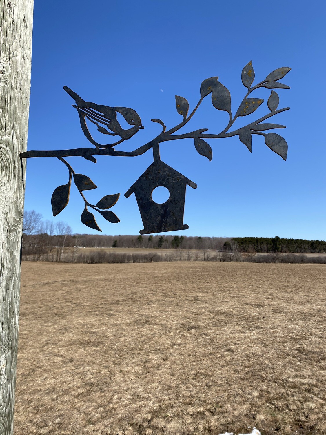 Sparrow &amp; Bird House