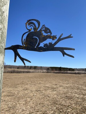 Squirrel