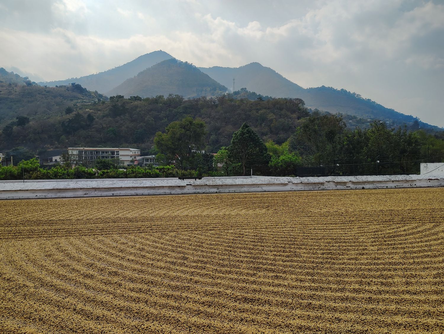 De La Gente Guatemala: Direct Trade Single Origin De La Gente Guatemala: Direct Trade Single Origin