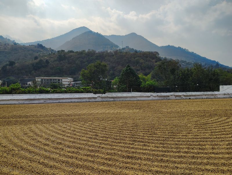 De La Gente Guatemala: Direct Trade Single Origin