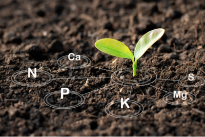 IMPROVER- SOIL