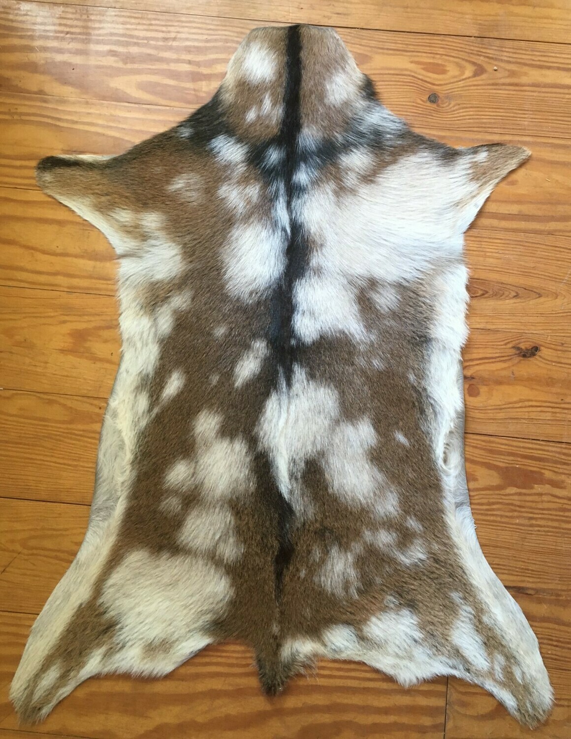 Genuine Goat Hide #2