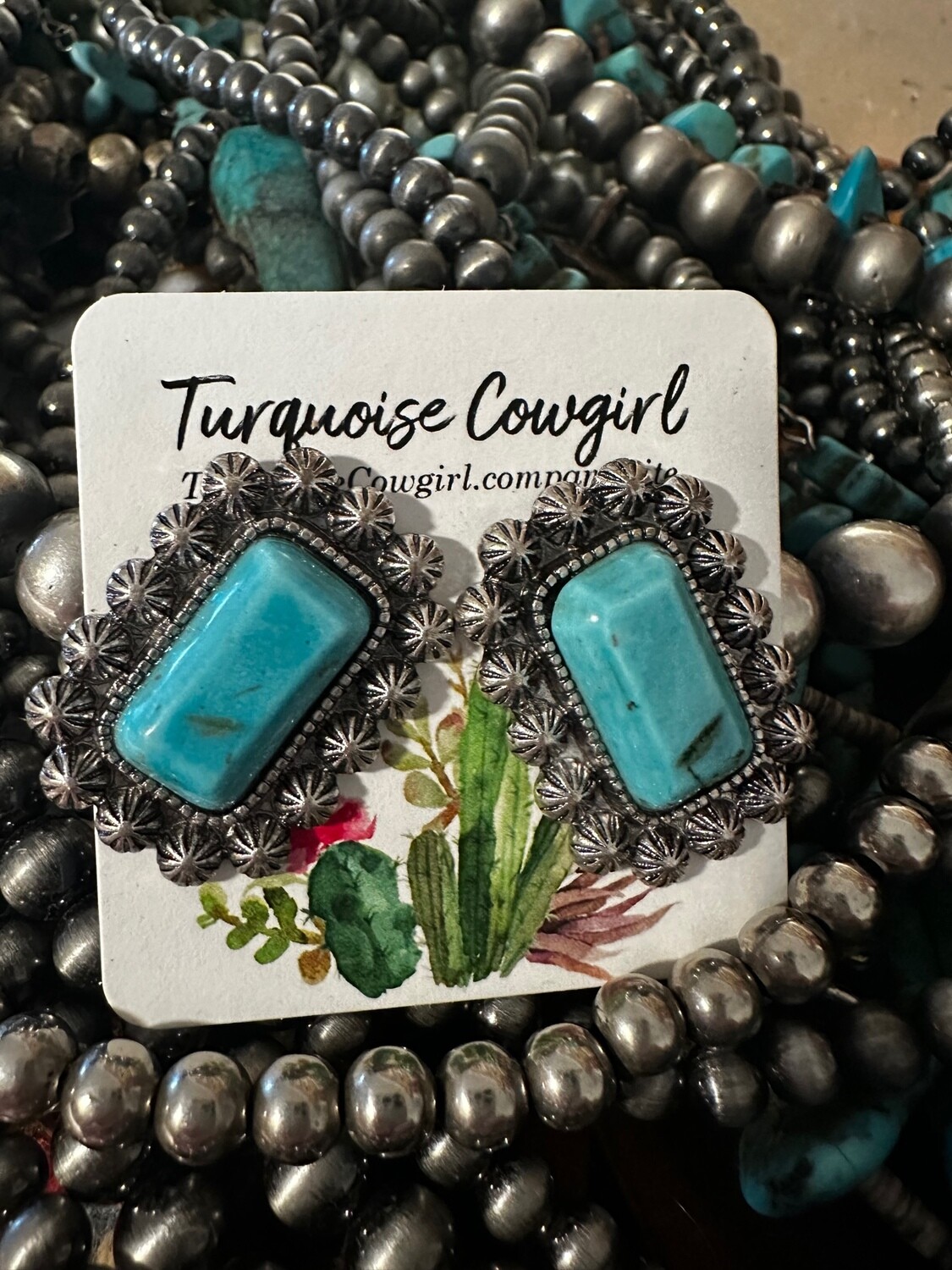 Turquoise Rectangles
