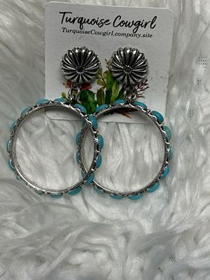 Telluride Hoops