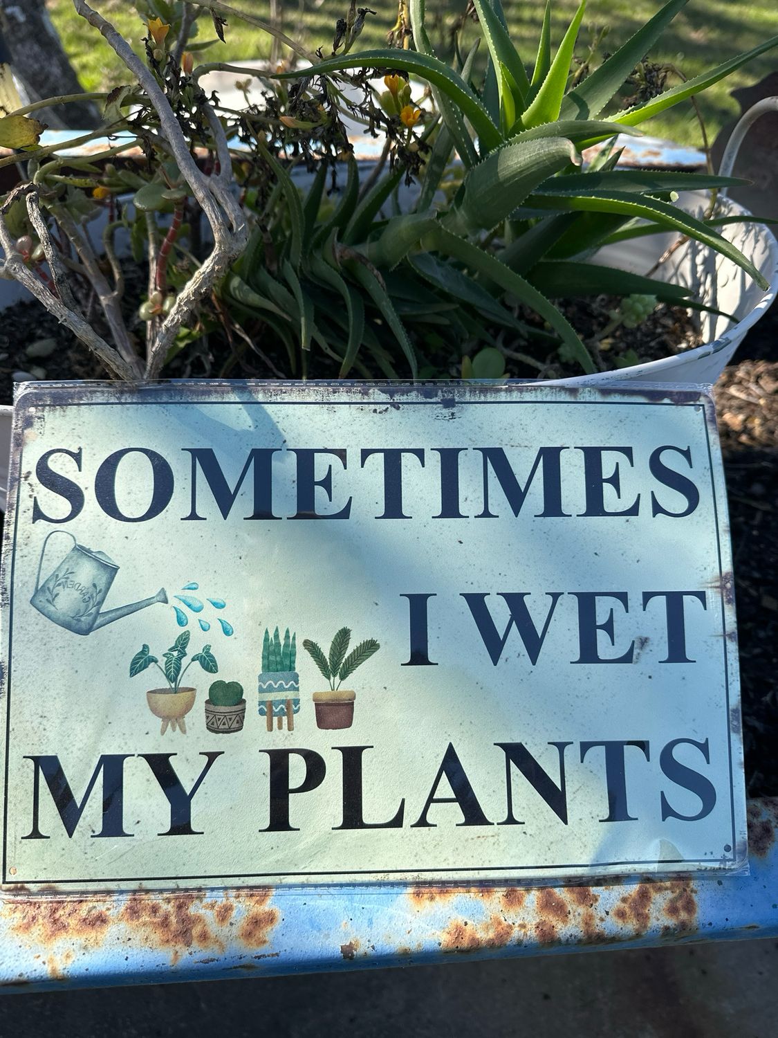 Tin Sign 62