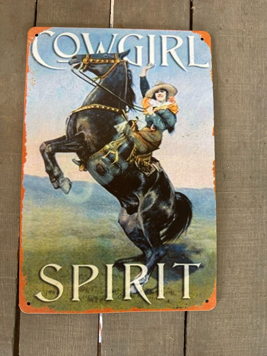 Tin Sign 35