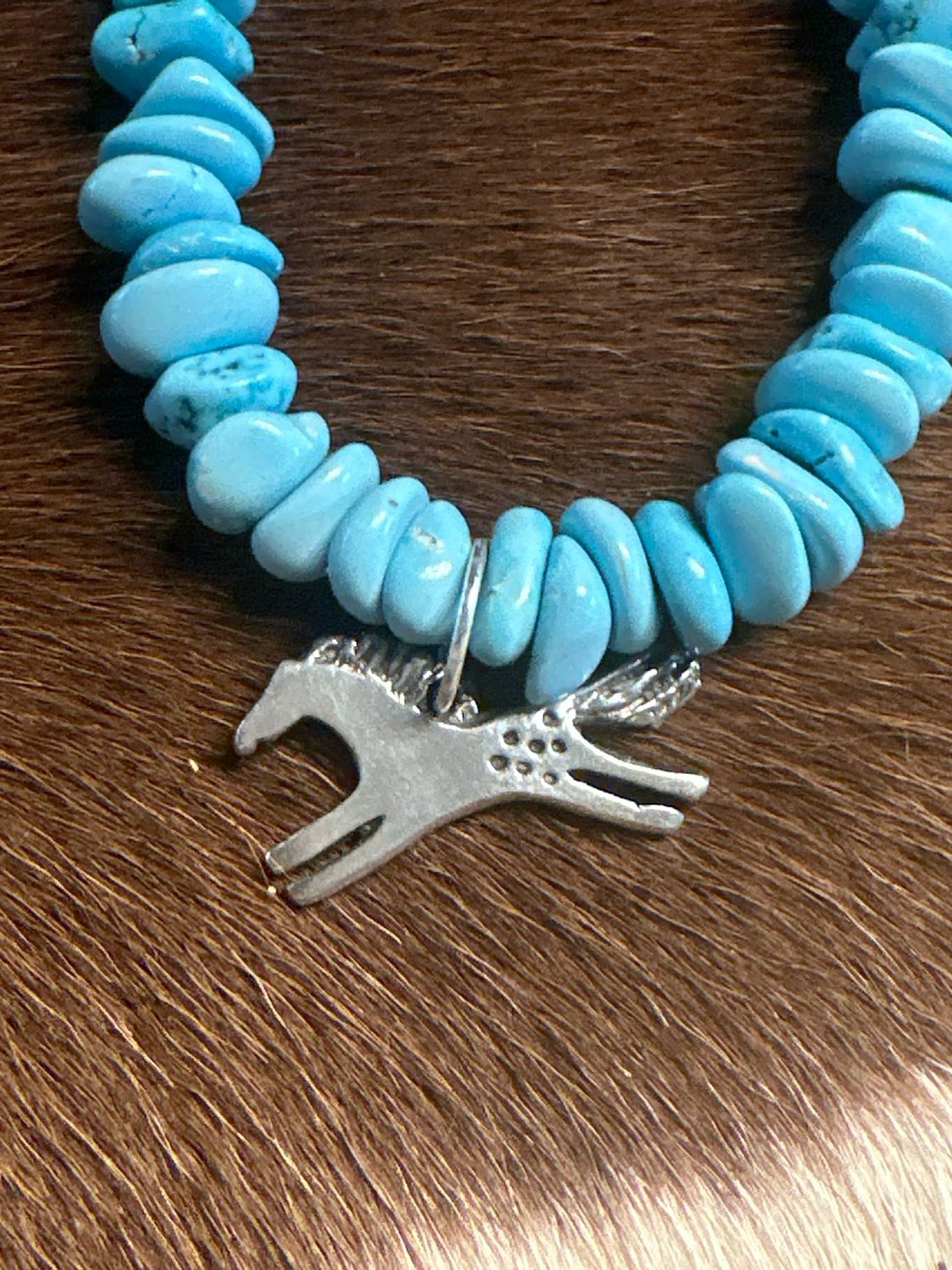 Spirit Horse