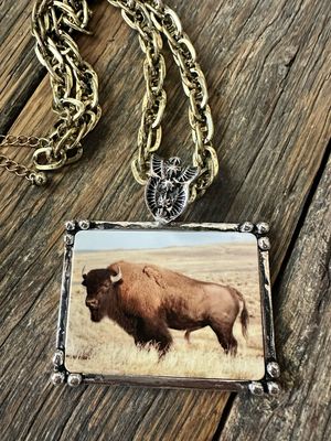 Boss Of The Plains