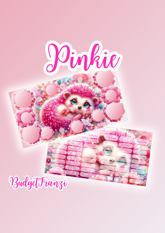 Mixchallenge Sparchallenge Pinkie Igel Budget Sparspiel rubbel und Lose A6 Binder