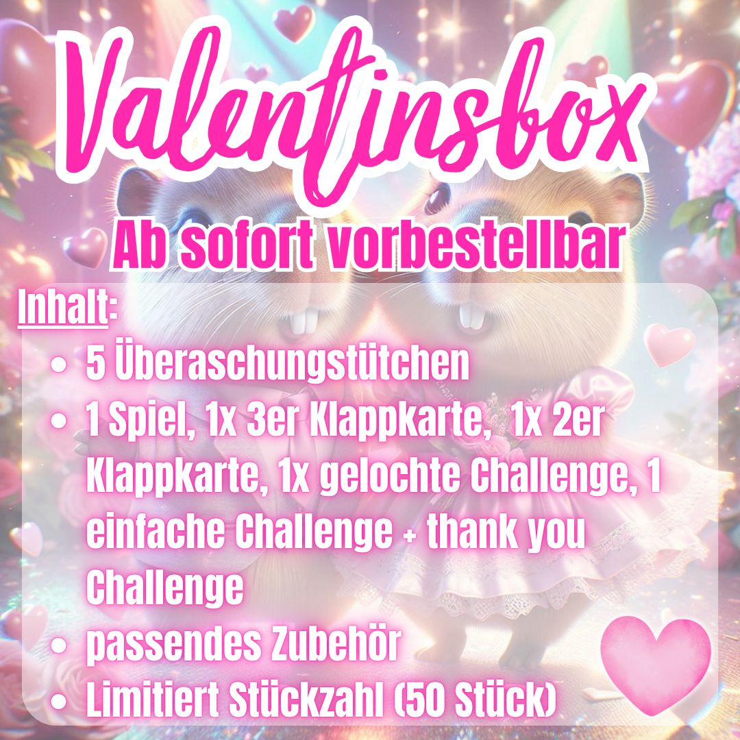 Valentinsbox 2026 Sparspiele Sparchallenges BudgetFranzi Budget A6 Binder