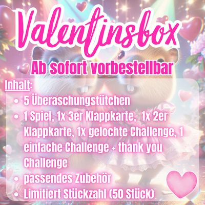Valentinsbox 2026 Sparspiele Sparchallenges BudgetFranzi Budget A6 Binder Valentinsbox 2026 Sparspiele Sparchallenges BudgetFranzi Budget A6 Binder