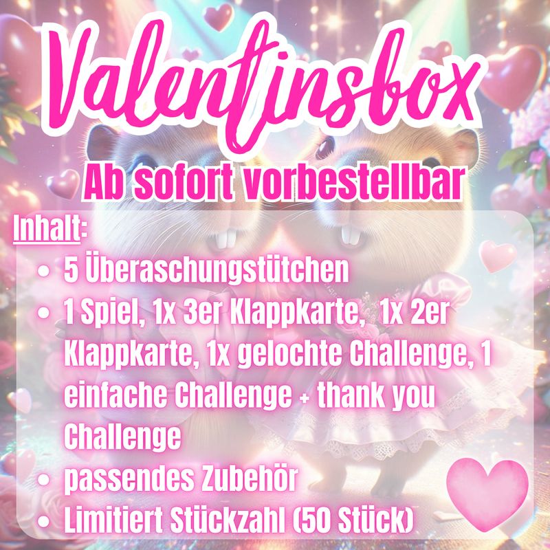 Valentinsbox 2026 Sparspiele Sparchallenges BudgetFranzi Budget A6 Binder