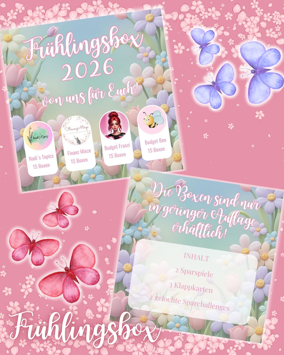 Frühlingsbox 2026 Sparspiele Sparchallenges BudgetFranzi Budget A6 Binder