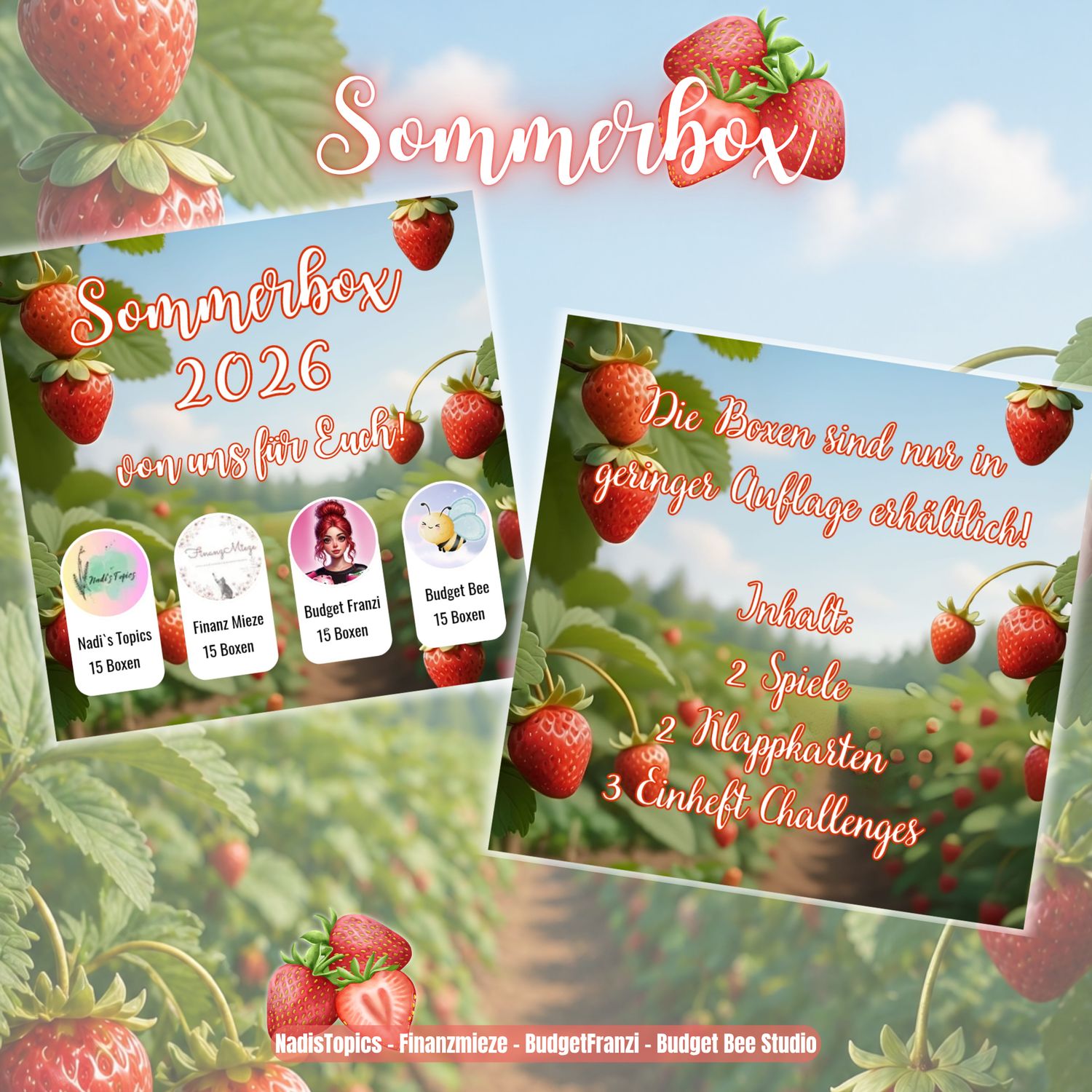 Sommerbox 2026 Sparspiele Sparchallenges BudgetFranzi Budget A6 Binder