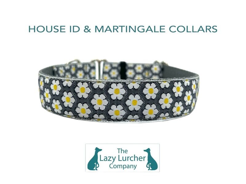 Daisy Grey 1" HOUSE ID COLLAR