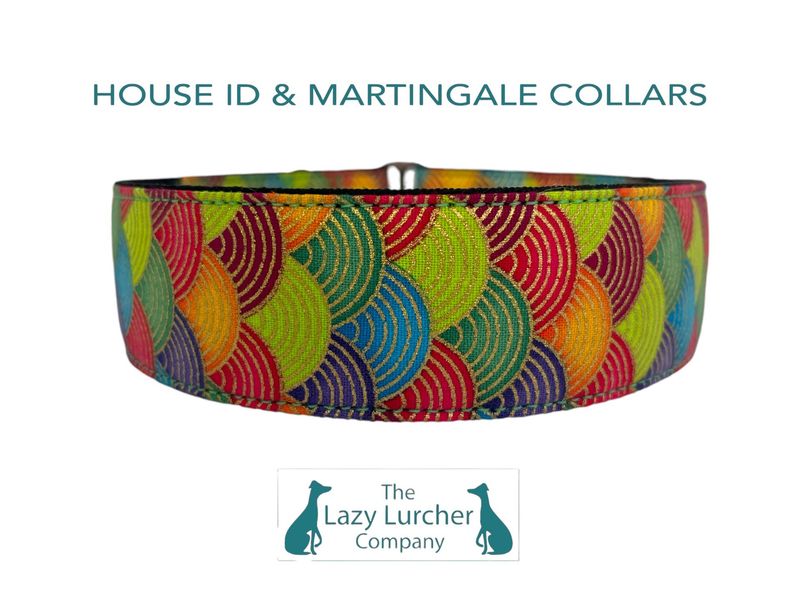 Rainbow Shells House Collar 1" WIDTH