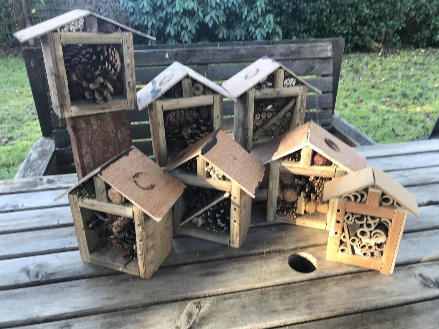 Bug house