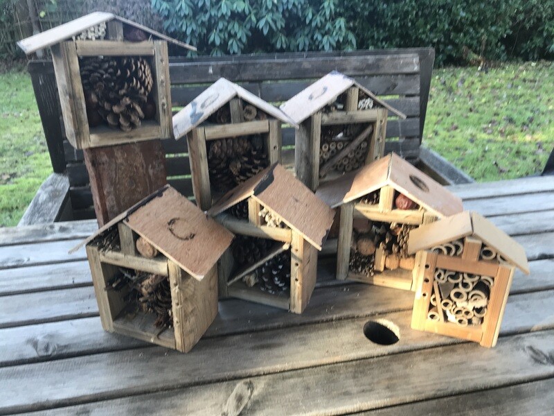 Bug house