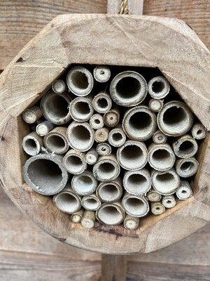 Bee hotel