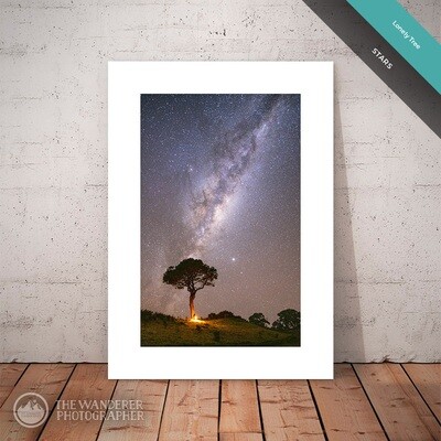 Lonely Tree