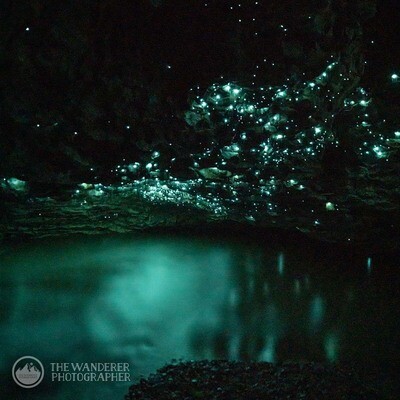 Glowworm Photography Tour