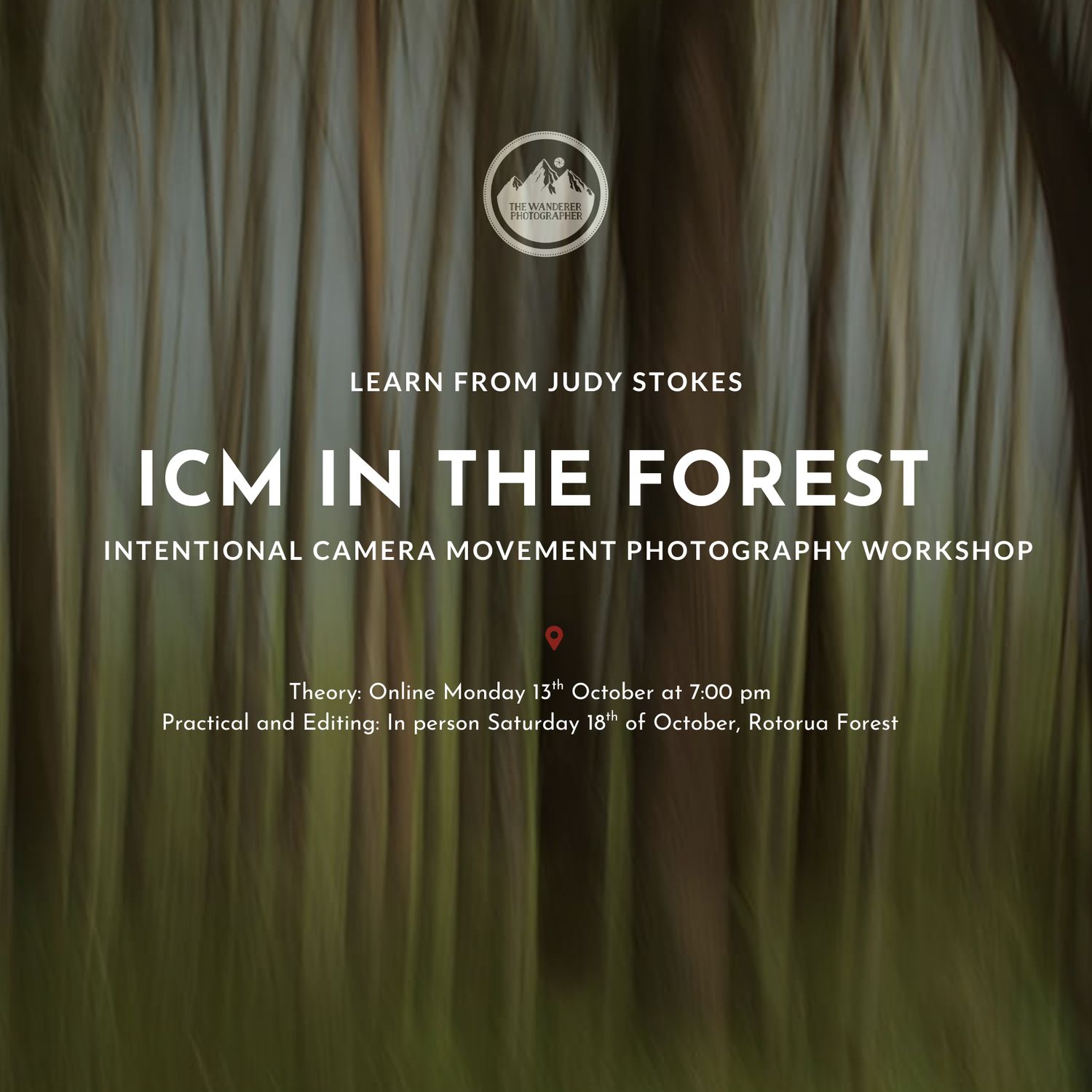 ICM Workshop with Judy Stokes | Forest Edition
