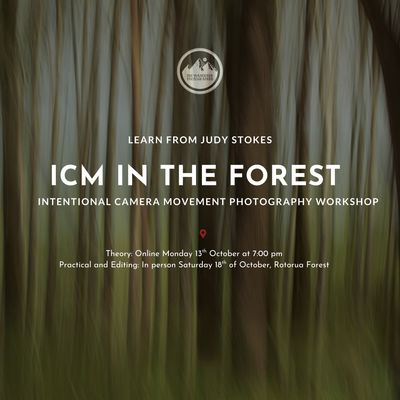 ICM Workshop with Judy Stokes | Forest Edition