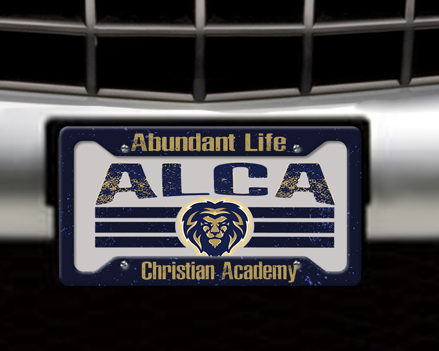 License Plate with Optional Frame