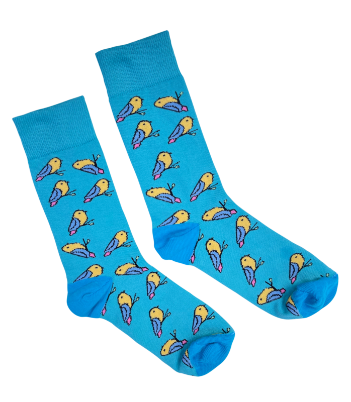 Pudgy Budgie® Novelty Socks - Aqua (Made in Melbourne)