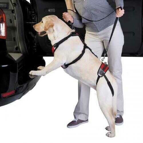 Total Pet Health Lift &amp; Go Lead XL Red