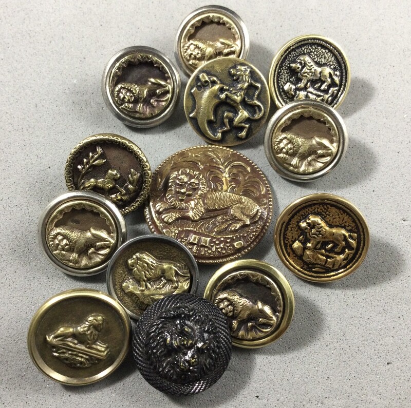 Lots of Lions!  (13)
