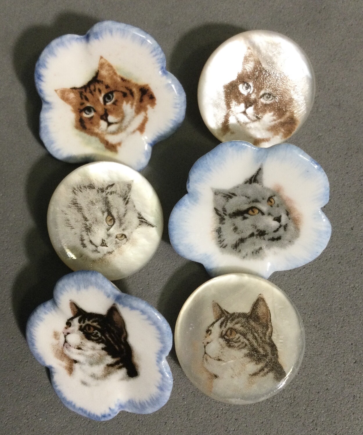 Three Mack Porcelain Cats with Three Matching Shell Buttons