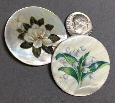 Two Shell with Floral Transfers