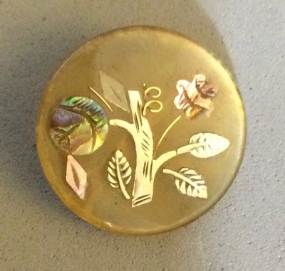 BLONDE HORN INLAY, Small