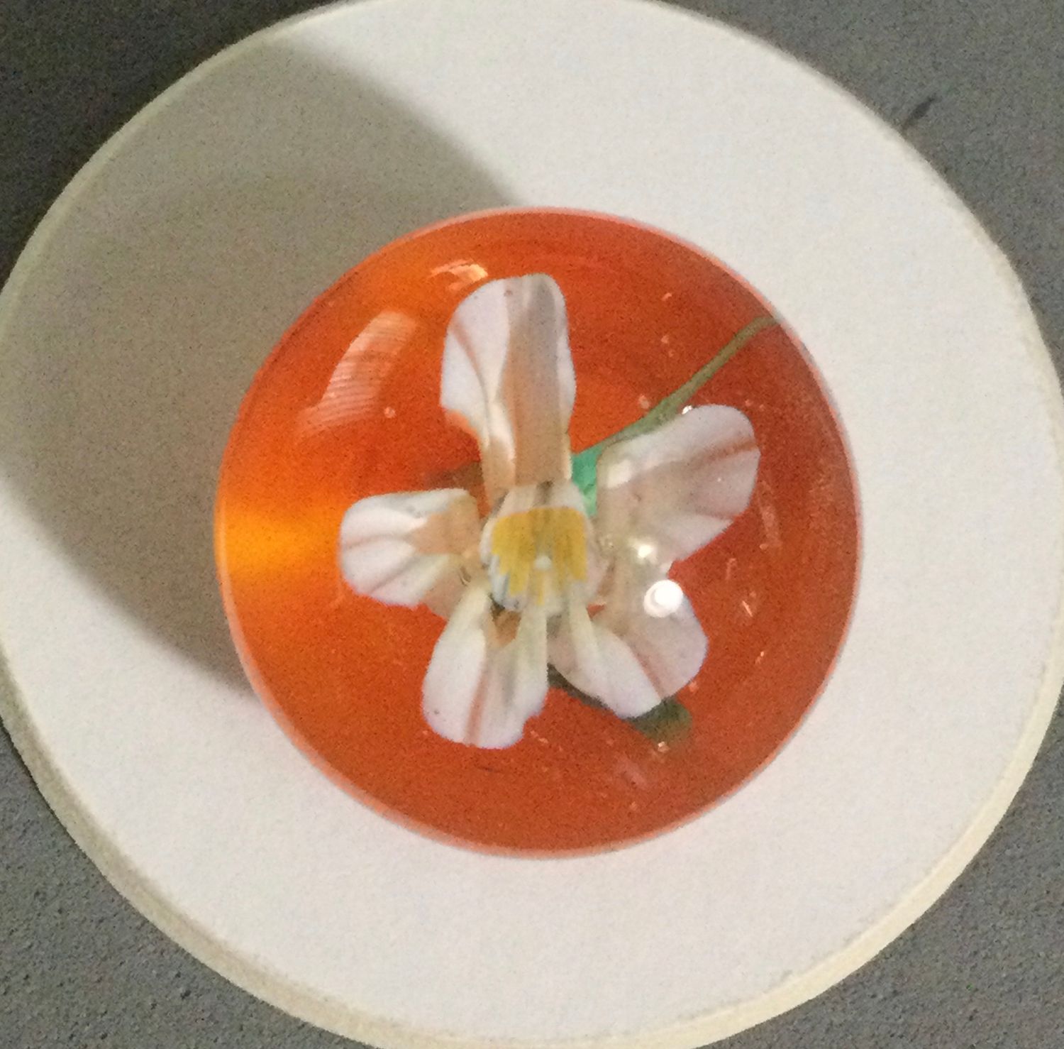 Mary Gaumond Orange Blossom Paperweight 2014 Florida Favor Button
