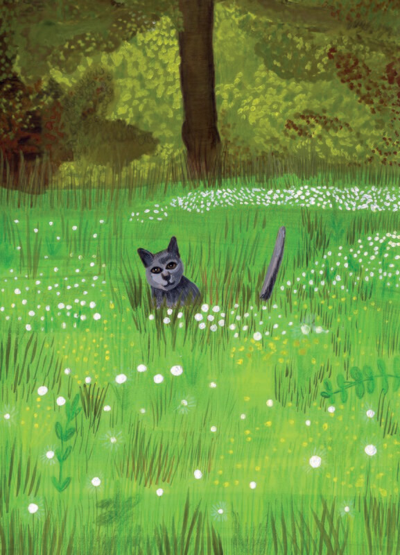 Ansichtkaart Kat in Veld