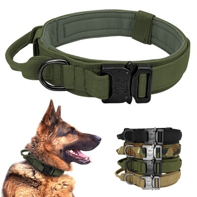 Dog Collar German Shepard Medium Large