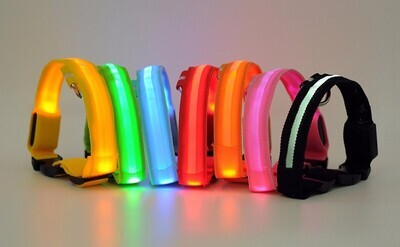 LED Pet Dog Collar,Night Safety Flashing